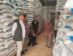 Pemkab Cianjur Jamin Kebutuhan Pupuk Petani untuk MT I Aman
