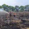 BPBD Catat 59 Kejadian Karhutla di Cianjur, Cilaku Paling Parah