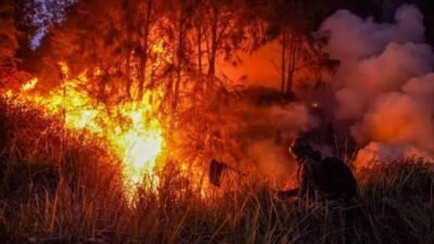 BMKG Deteksi 1.196 Titik Panas di Indonesia, Potensi Karhutla Menguat hingga 28 Oktober