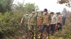 Kasad Tegaskan TNI AD Siap Kerahkan Seluruh Potensi untuk Tangani Karhutla