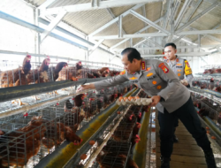 Polri Perkuat Rantai Pasok Pangan untuk Dukung Program MBG