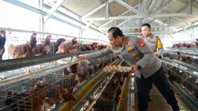 Polri Perkuat Rantai Pasok Pangan untuk Dukung Program MBG